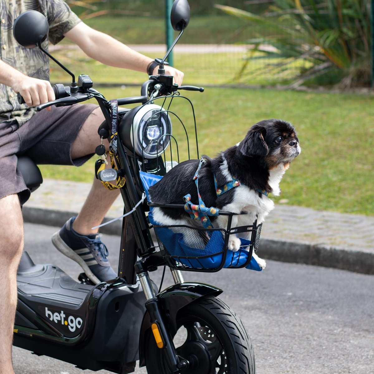 Bicicleta El&eacute;trica Bet.Go 500W 48V Two Dogs Pist&atilde;o Shop